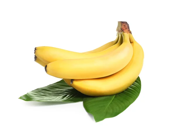 Detail Big Banana Picture Nomer 53