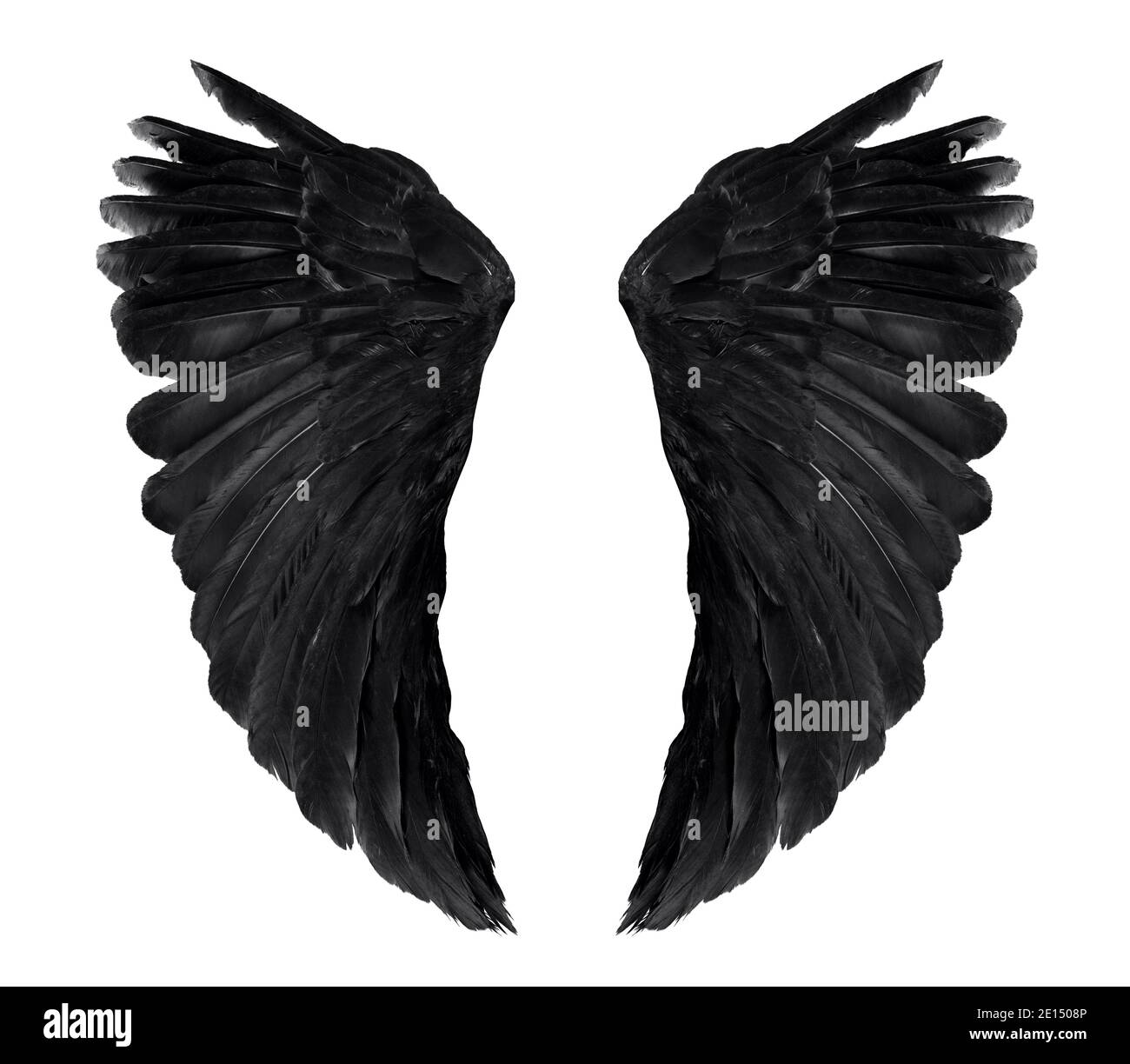 Detail Big Black Angel Wings Nomer 30