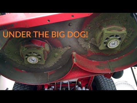 Detail Big Dog Alpha Mp 54 Blades Nomer 15