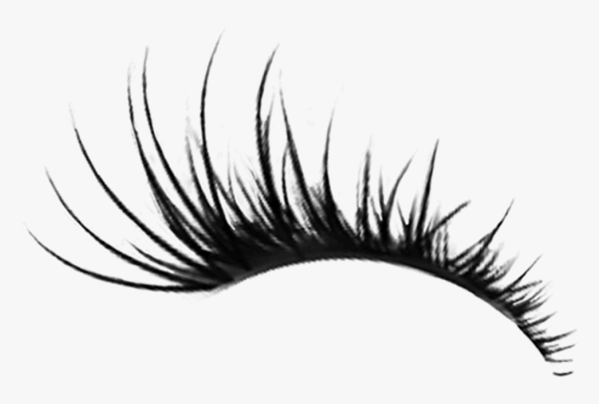 Detail Big Eyelashes Png Nomer 4