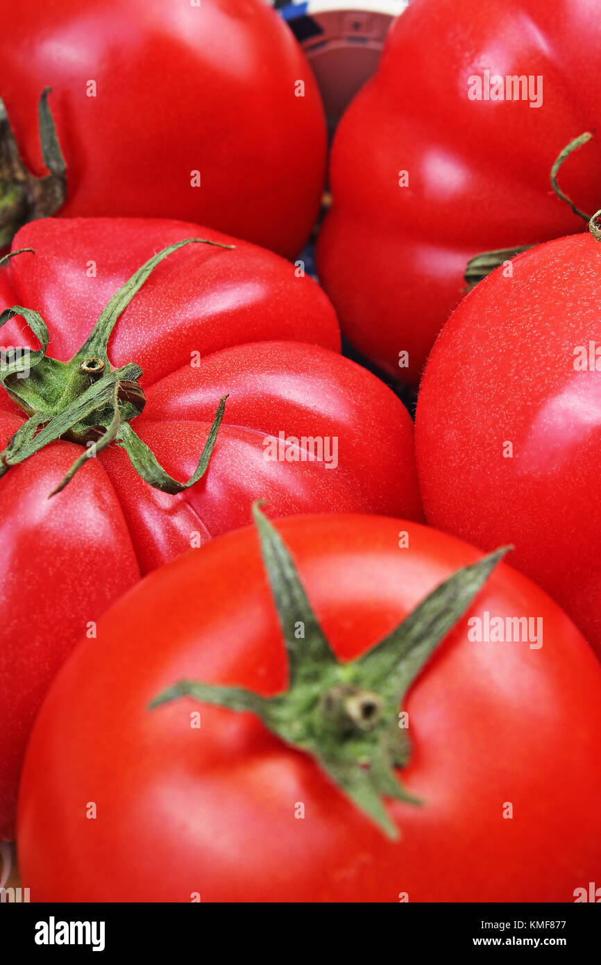 Detail Big Red Tomato Nomer 15