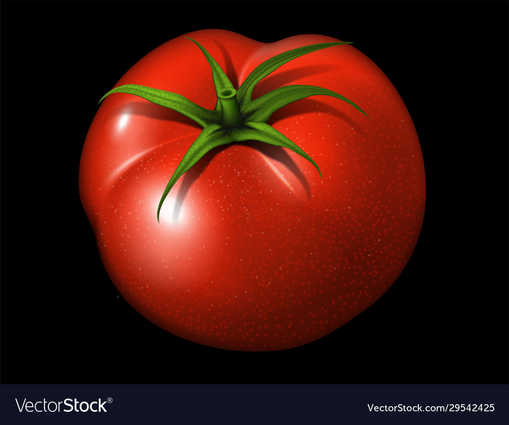 Detail Big Red Tomato Nomer 17