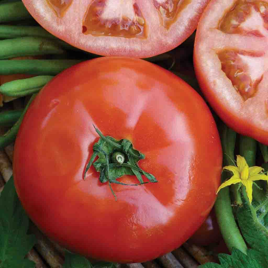 Detail Big Red Tomato Nomer 3
