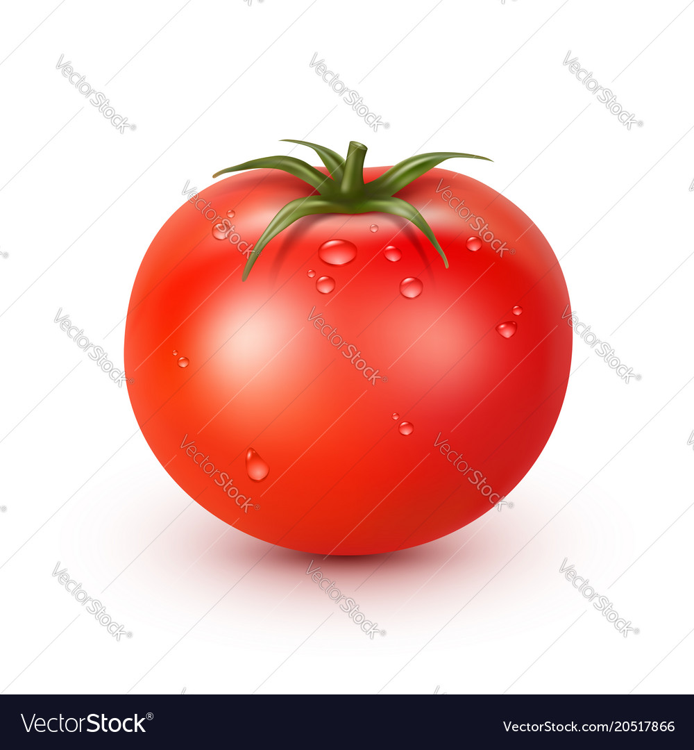 Detail Big Red Tomato Nomer 24