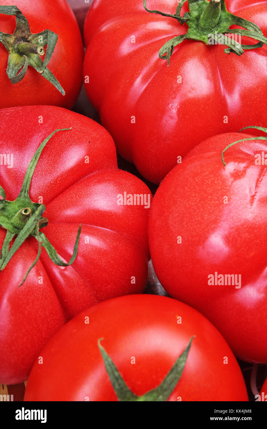 Detail Big Red Tomato Nomer 27