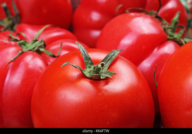 Detail Big Red Tomato Nomer 31