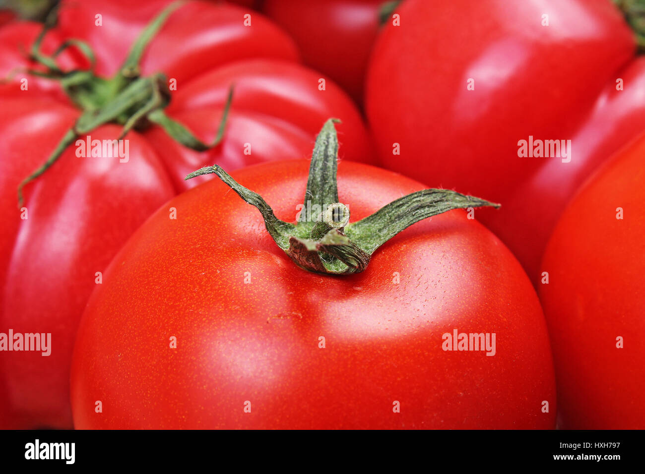 Detail Big Red Tomato Nomer 37
