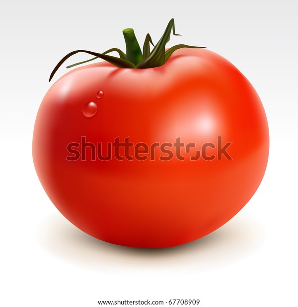 Detail Big Red Tomato Nomer 43
