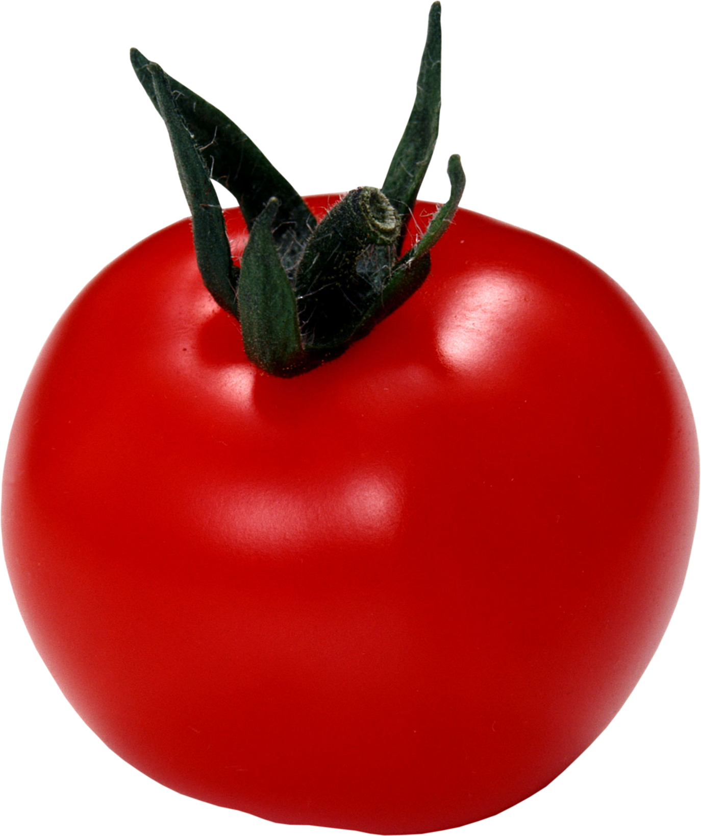 Detail Big Red Tomato Nomer 53