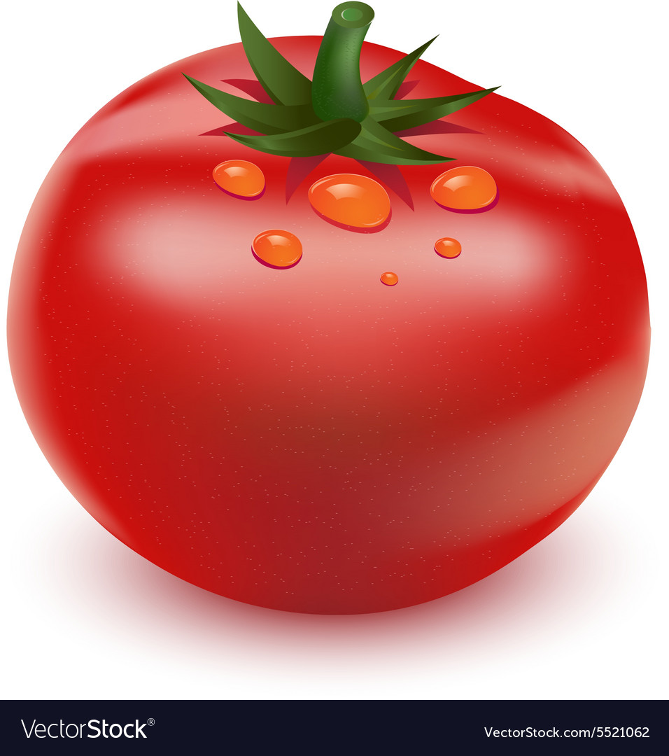 Detail Big Red Tomato Nomer 8