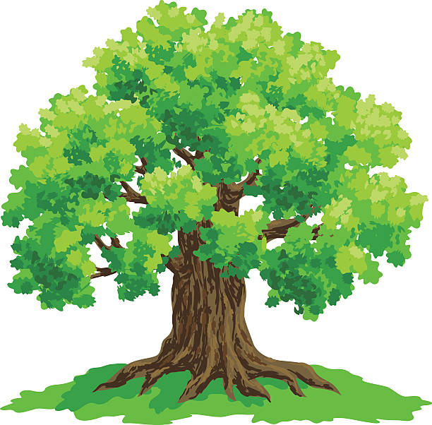 Big Tree Clipart - KibrisPDR