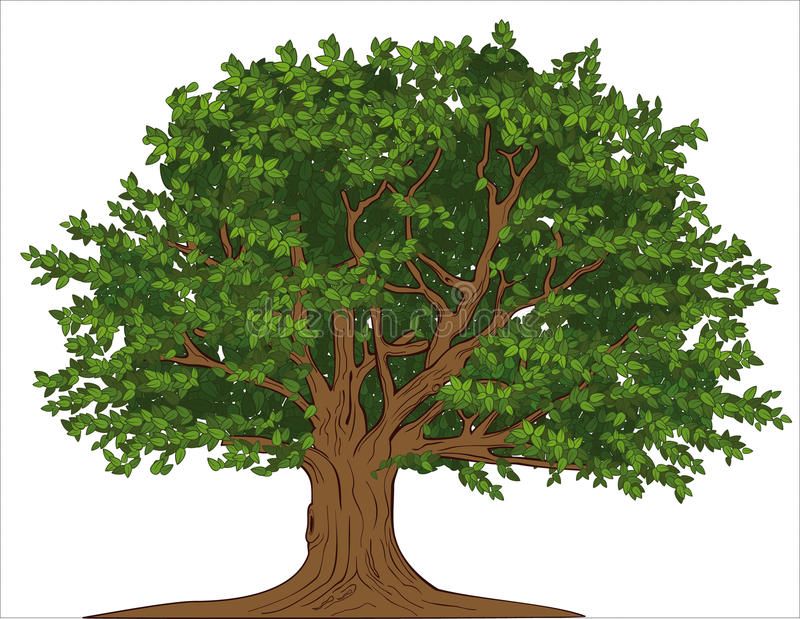 Detail Big Tree Clipart Nomer 12