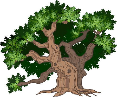 Detail Big Tree Clipart Nomer 14