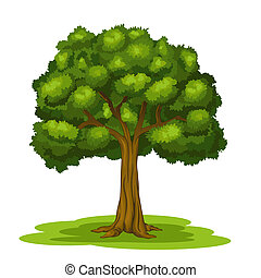 Detail Big Tree Clipart Nomer 19