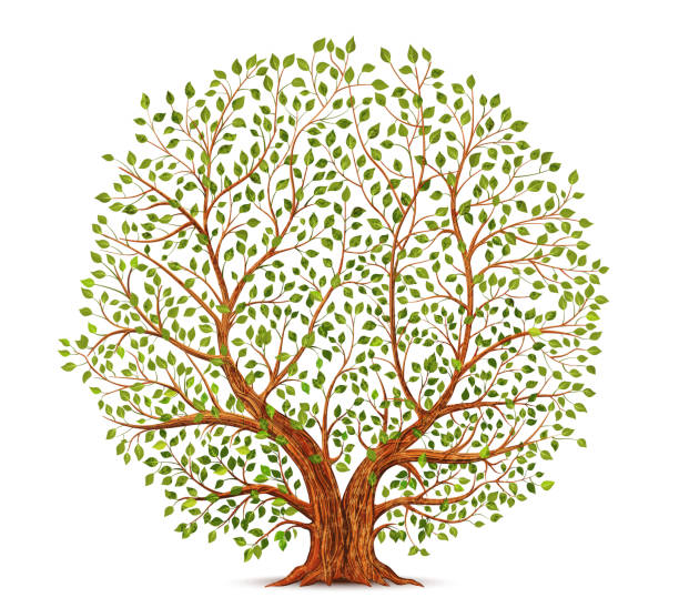 Detail Big Tree Clipart Nomer 28