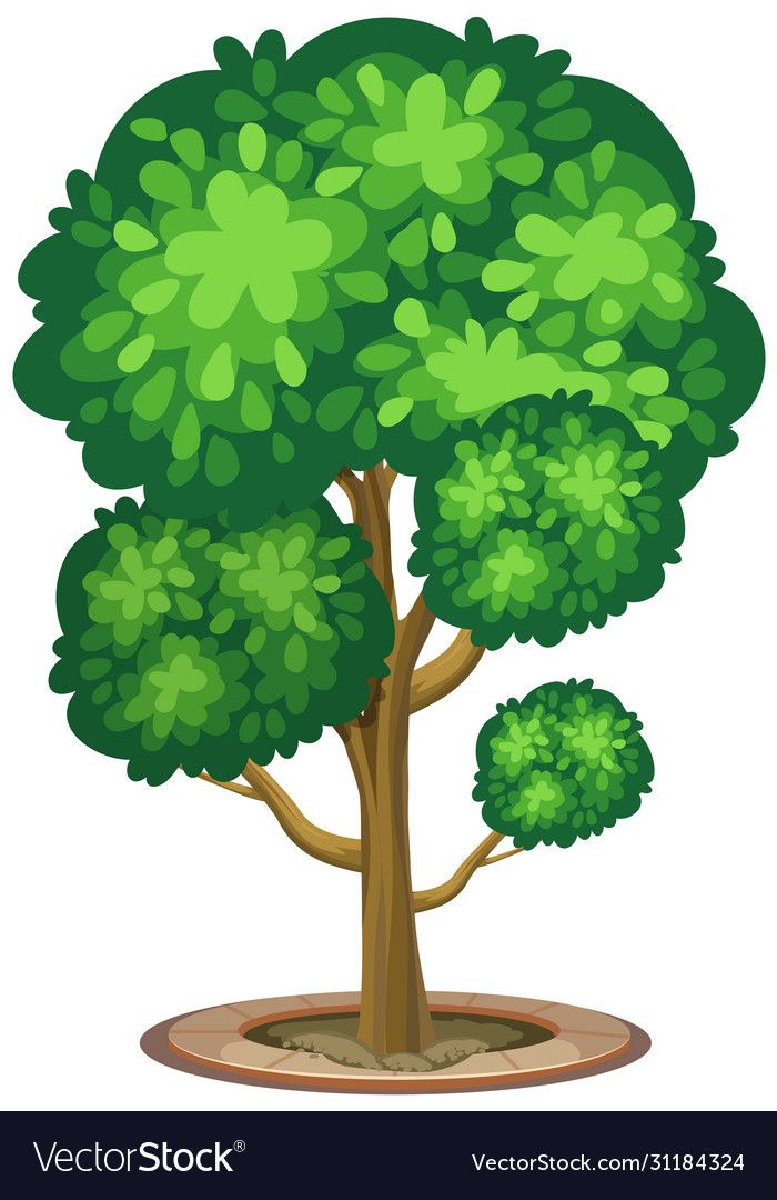 Detail Big Tree Clipart Nomer 49