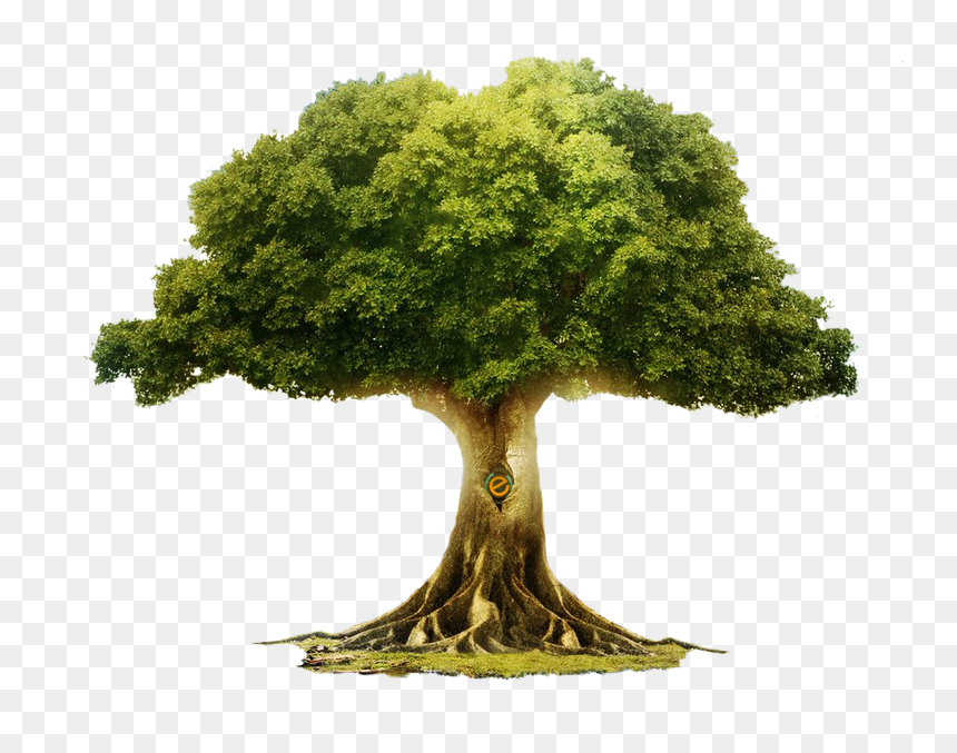 Detail Big Tree Png Nomer 12