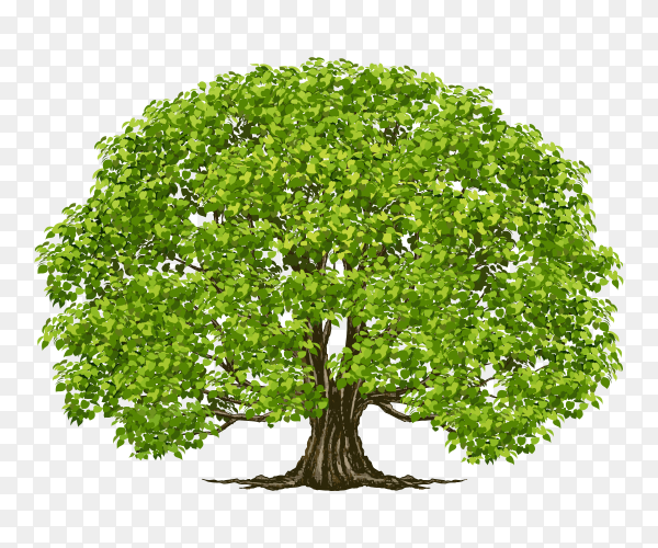 Detail Big Tree Png Nomer 22