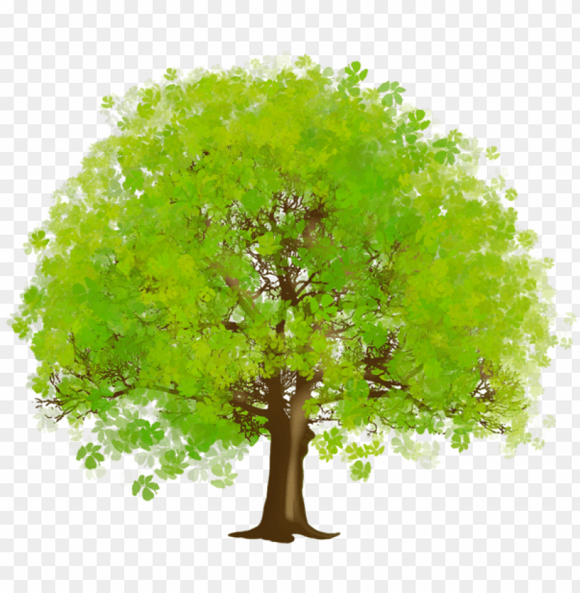 Detail Big Tree Png Nomer 34