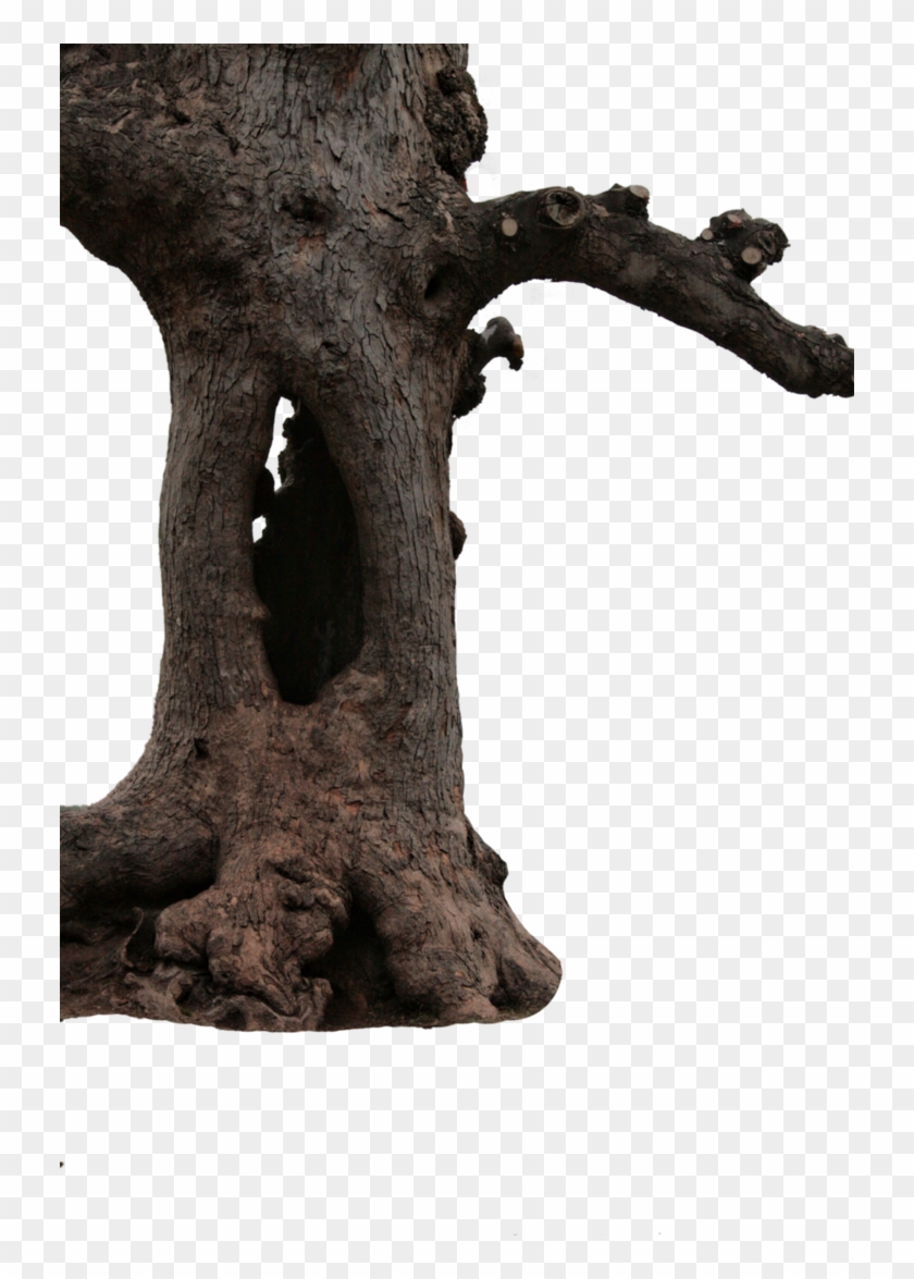 Detail Big Tree Png Nomer 37