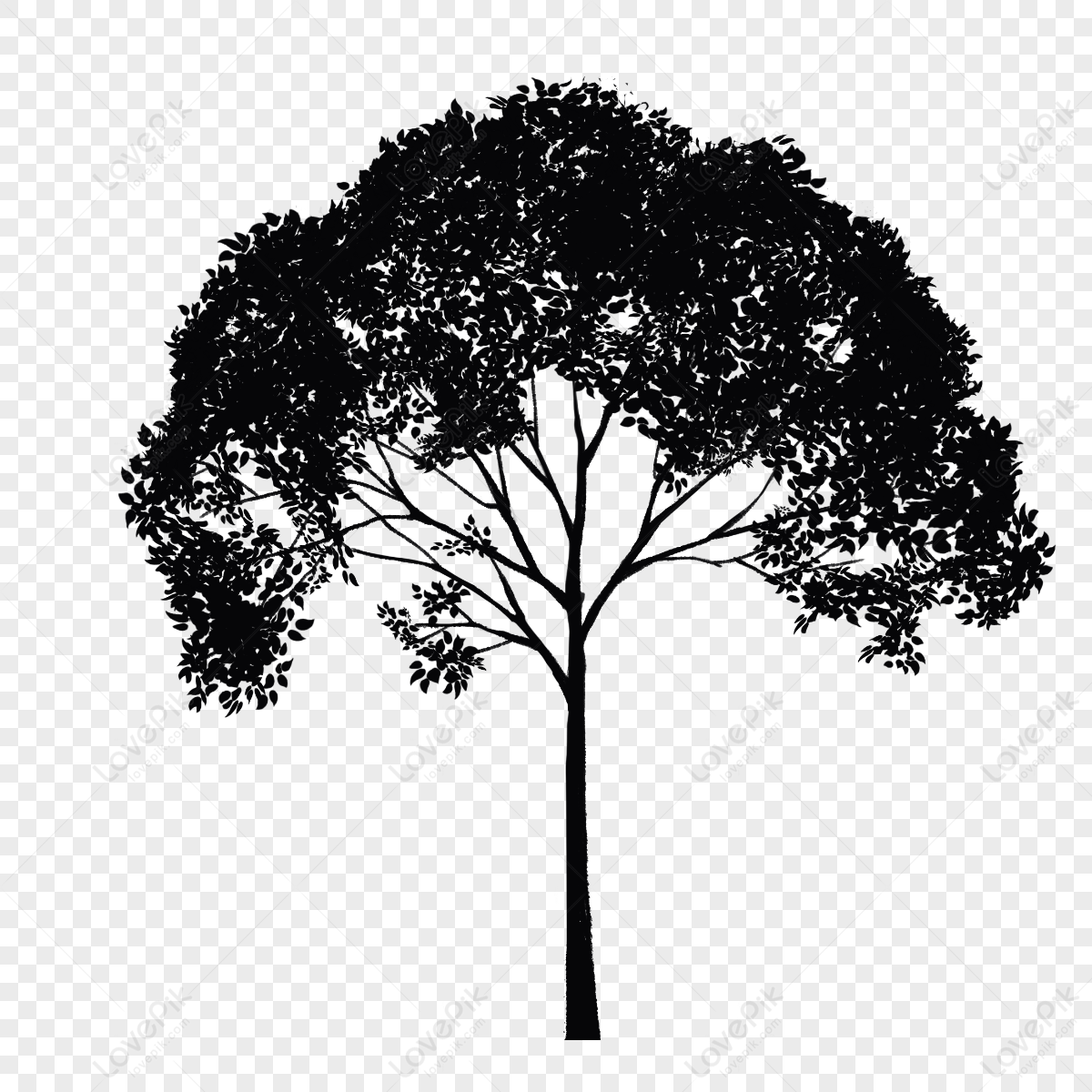 Detail Big Tree Png Nomer 47