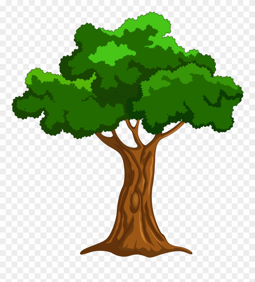 Detail Big Tree Png Nomer 53