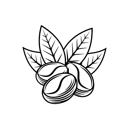 Detail Biji Coffee Vector Nomer 4