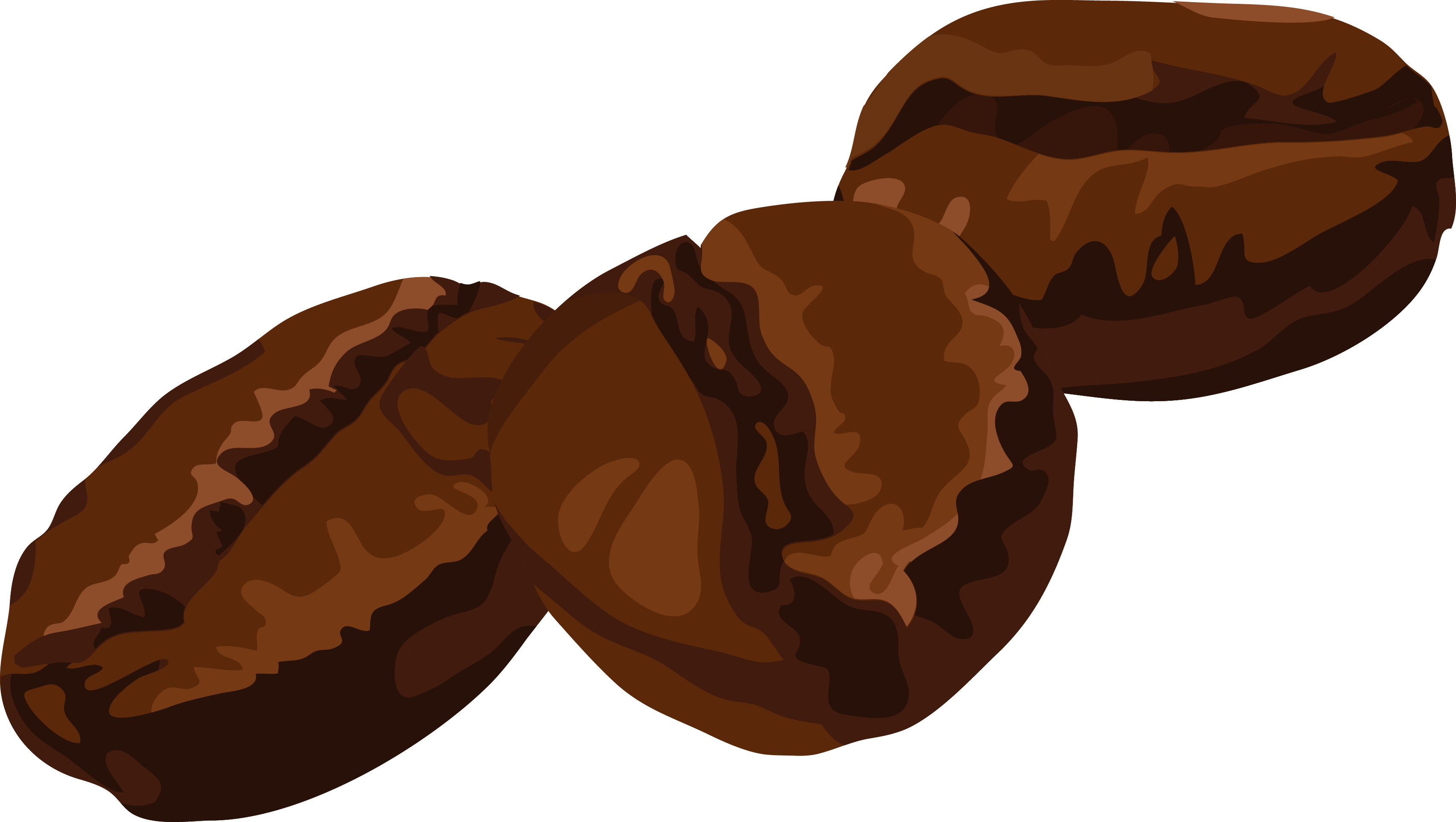 Detail Biji Coffee Vector Nomer 48