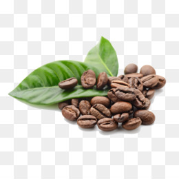 Detail Biji Kopi Animasi Nomer 20