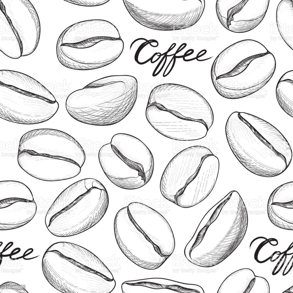 Detail Biji Kopi Animasi Nomer 23