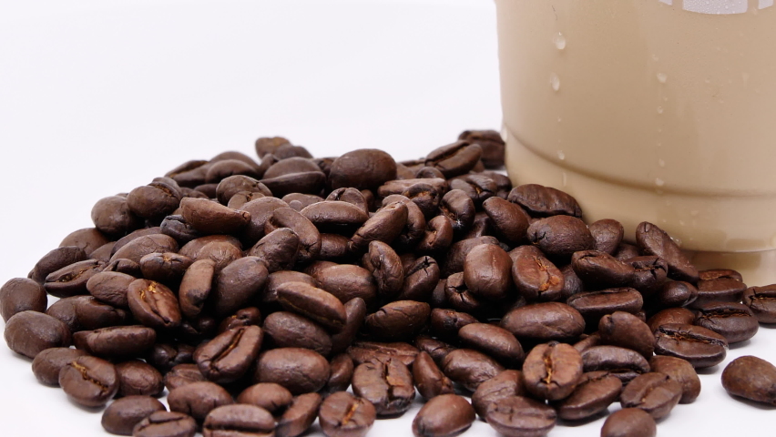 Detail Biji Kopi Animasi Nomer 42