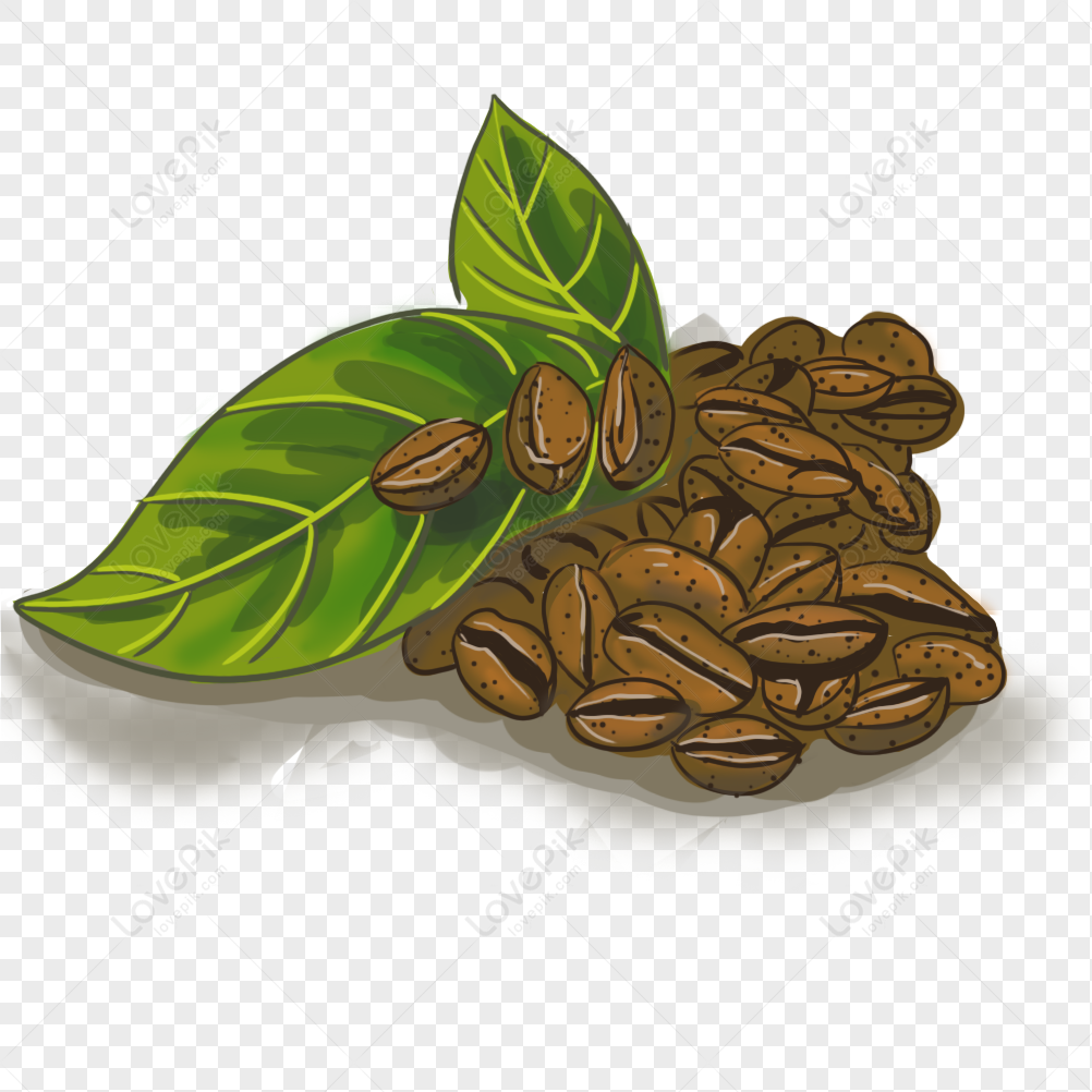 Detail Biji Kopi Animasi Nomer 8