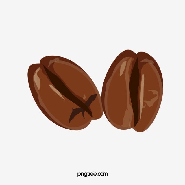 Biji Kopi Png Vector - KibrisPDR