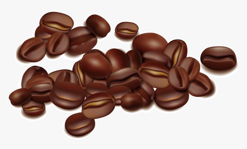 Detail Biji Kopi Png Vector Nomer 16