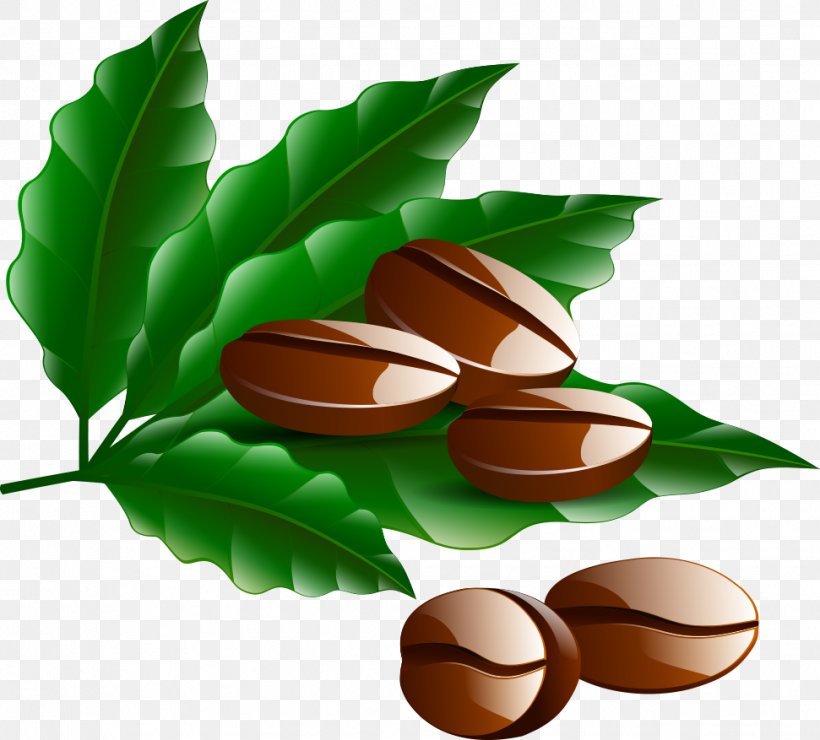 Detail Biji Kopi Png Vector Nomer 33