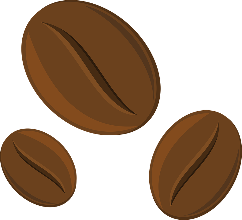 Detail Biji Kopi Png Vector Nomer 49