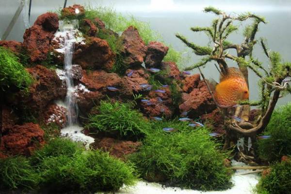 Detail Bikin Air Terjun Aquarium Nomer 4