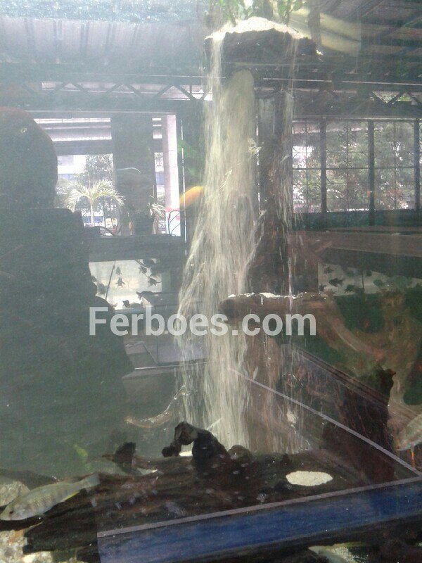 Detail Bikin Air Terjun Aquarium Nomer 50