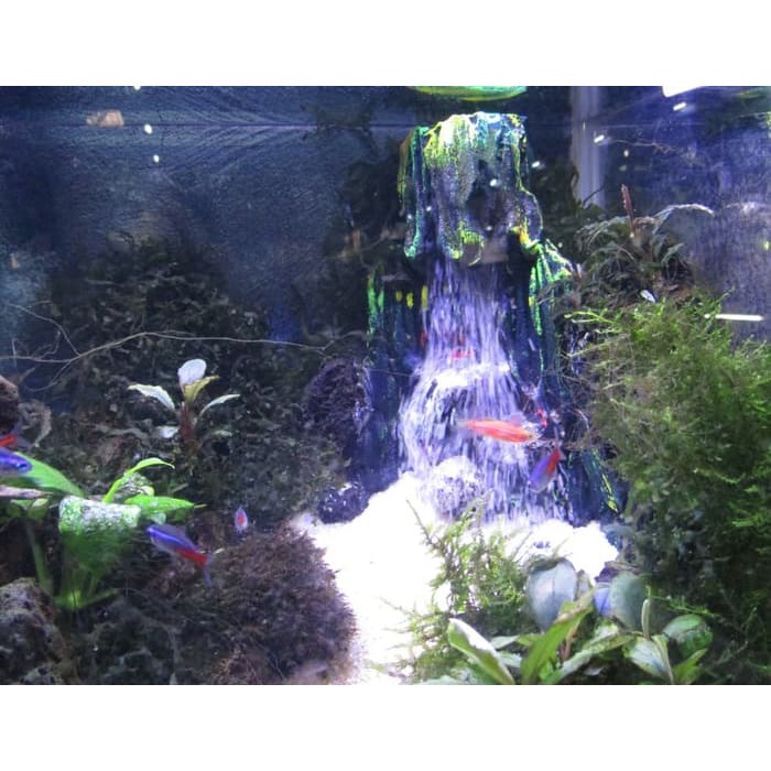 Detail Bikin Air Terjun Aquarium Nomer 52