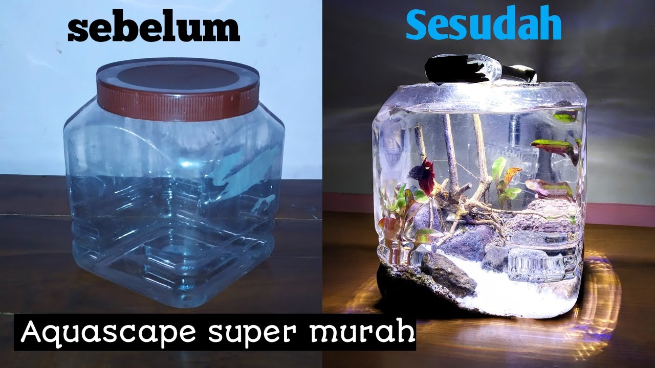 Bikin Aquarium Dari Barang Bekas - KibrisPDR