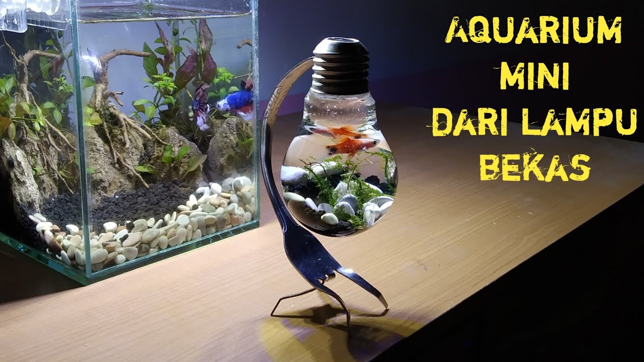 Detail Bikin Aquarium Dari Barang Bekas Nomer 3