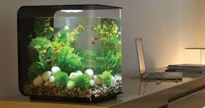 Detail Bikin Aquarium Dari Barang Bekas Nomer 23