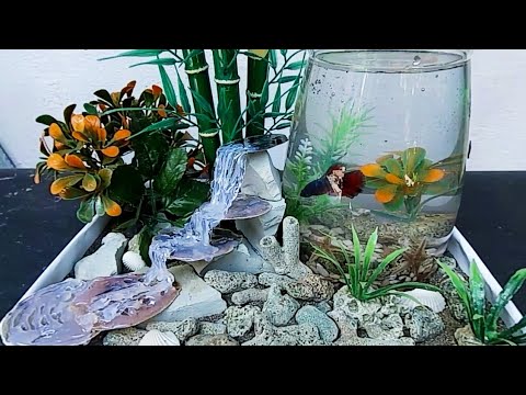 Detail Bikin Aquarium Dari Barang Bekas Nomer 24