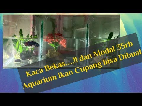 Detail Bikin Aquarium Dari Barang Bekas Nomer 25