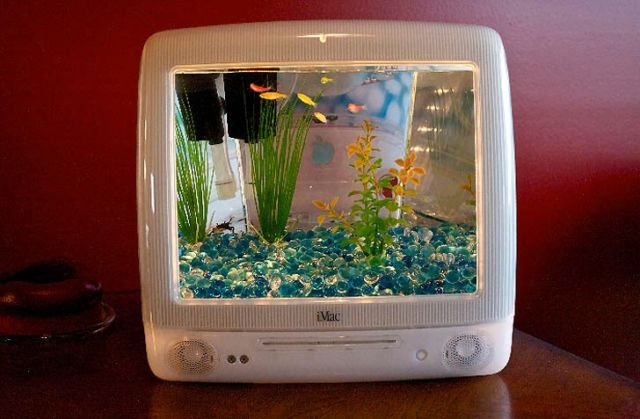 Detail Bikin Aquarium Dari Barang Bekas Nomer 34