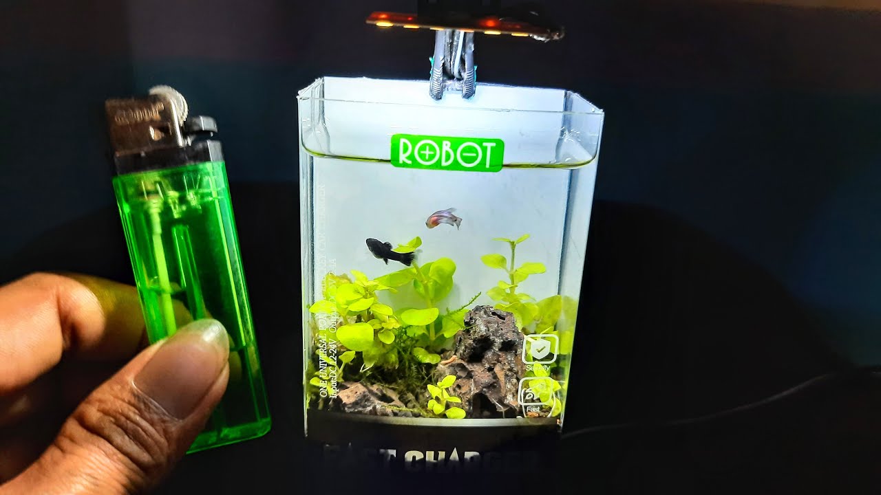 Detail Bikin Aquarium Dari Barang Bekas Nomer 5