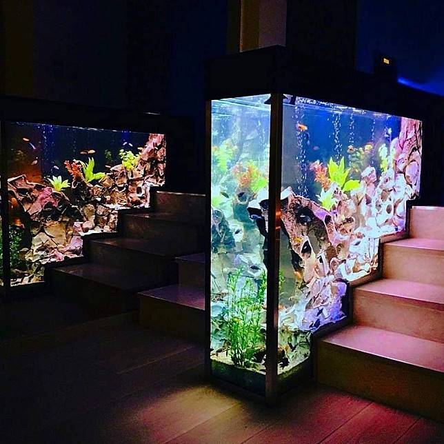 Detail Bikin Aquarium Dari Barang Bekas Nomer 40