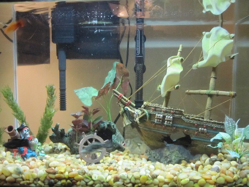 Detail Bikin Aquarium Dari Barang Bekas Nomer 47