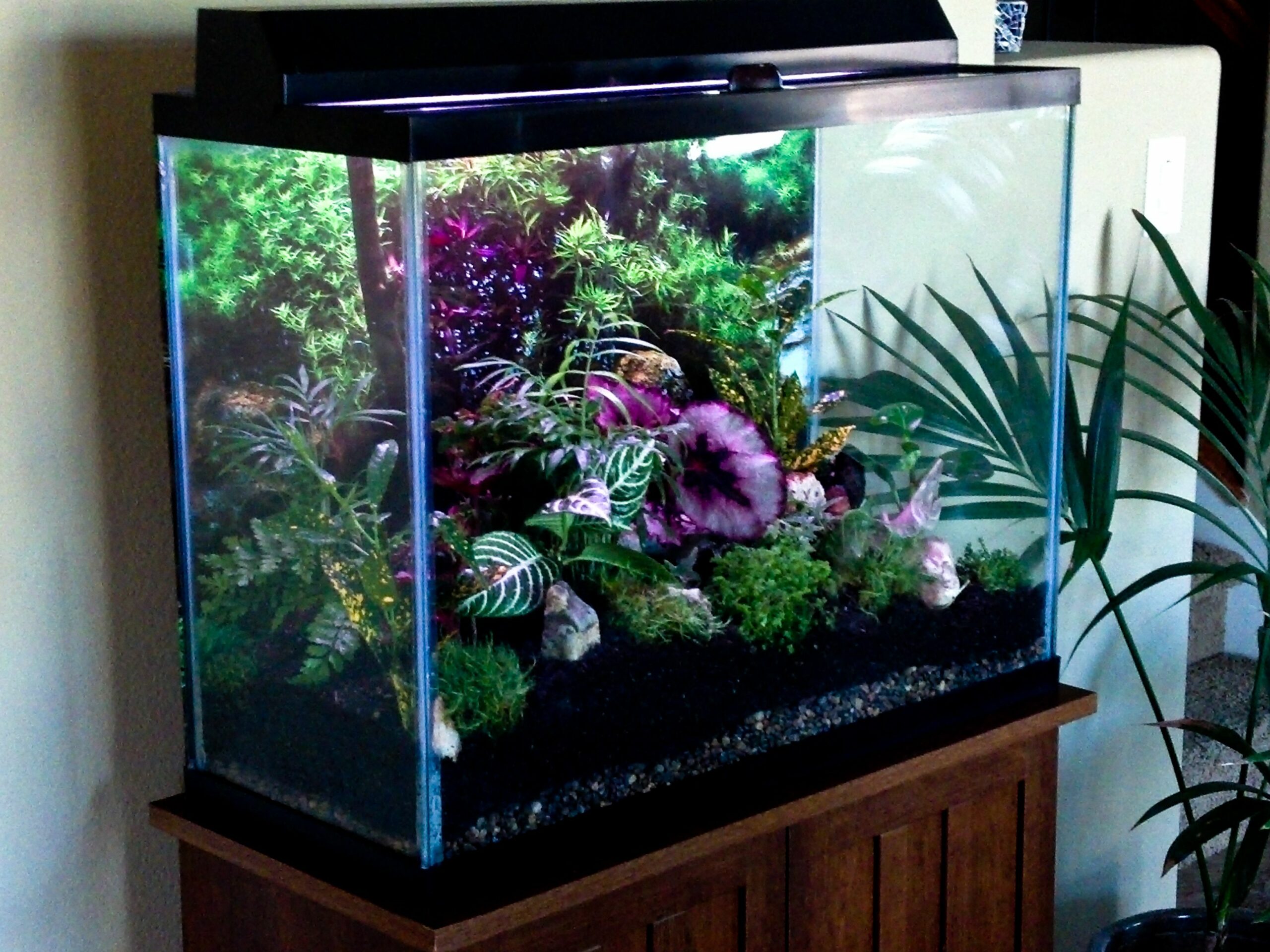 Detail Bikin Aquarium Dari Barang Bekas Nomer 55