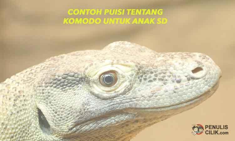 Detail Bikin Puisi Tentang Komodo Nomer 16